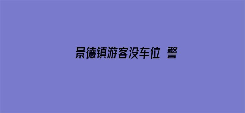 景德镇游客没车位 警察：随便停